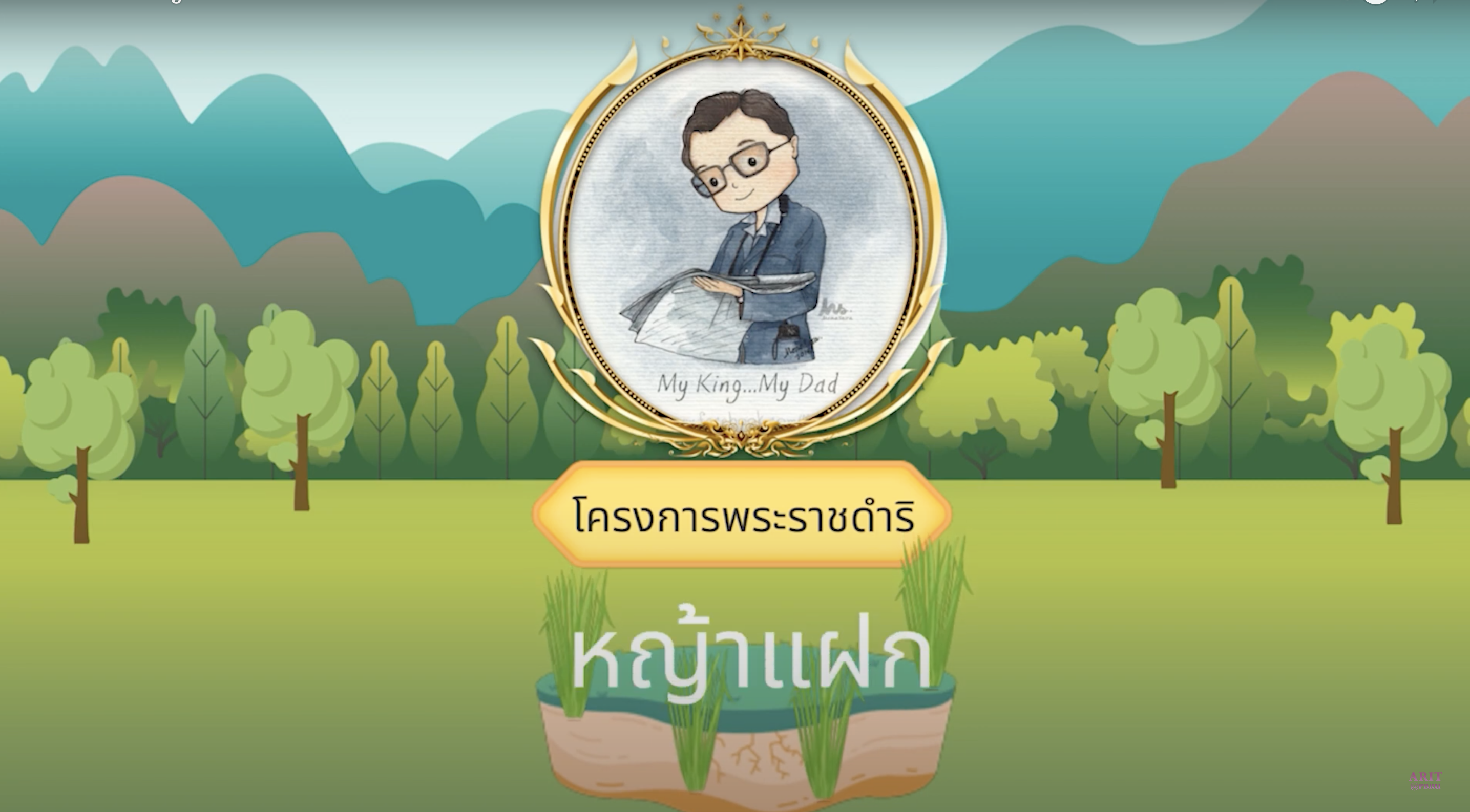 หญ้าแฝก กำแพงมีชีวิต